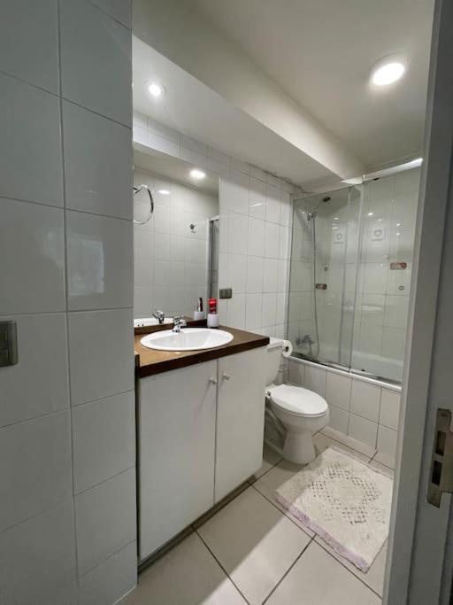 Apartamento Departamento Full Equipado Ubicado En El Parque Suizo Pucón